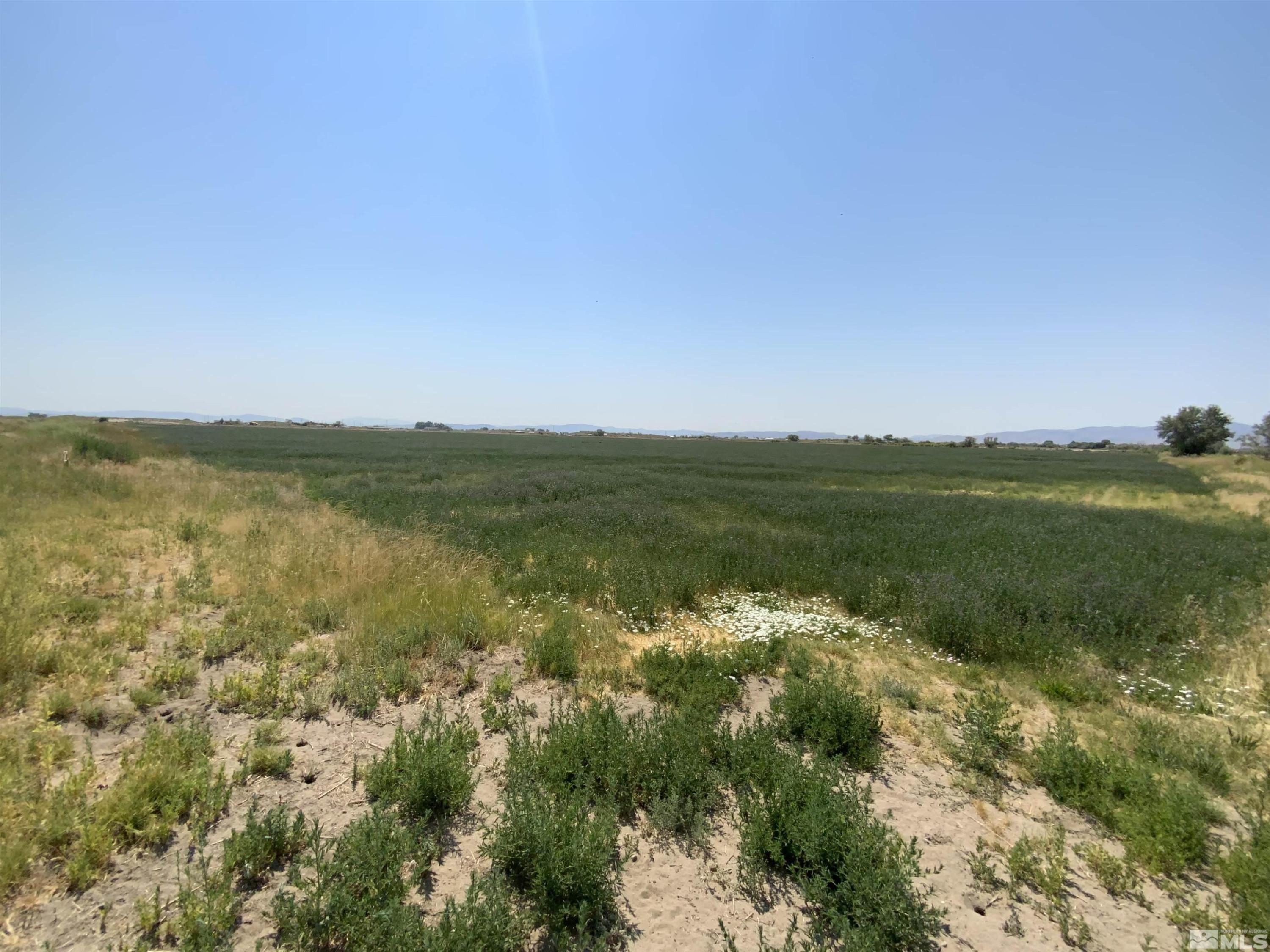 Image 3: Photo 3