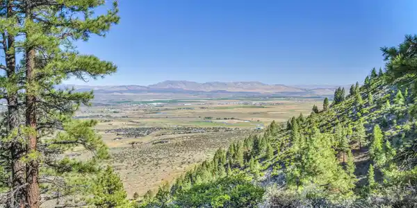 Image 3: 32-web-or-mls-jacks-valley-rd
