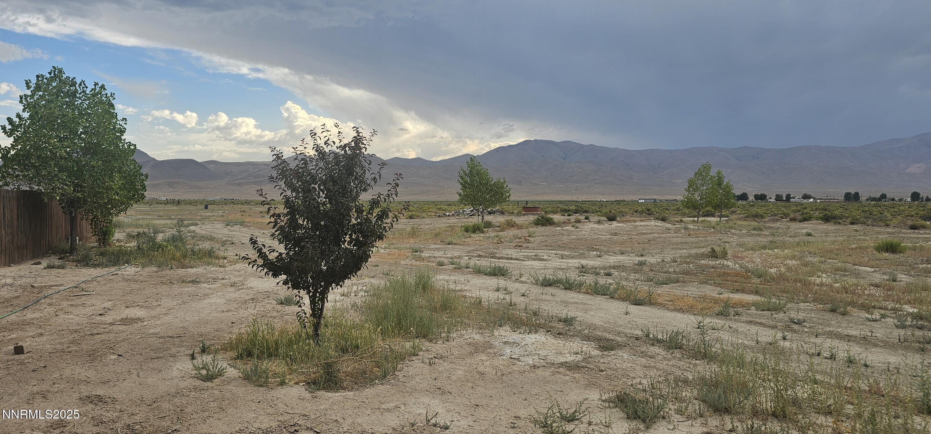Image 4: 1000020695