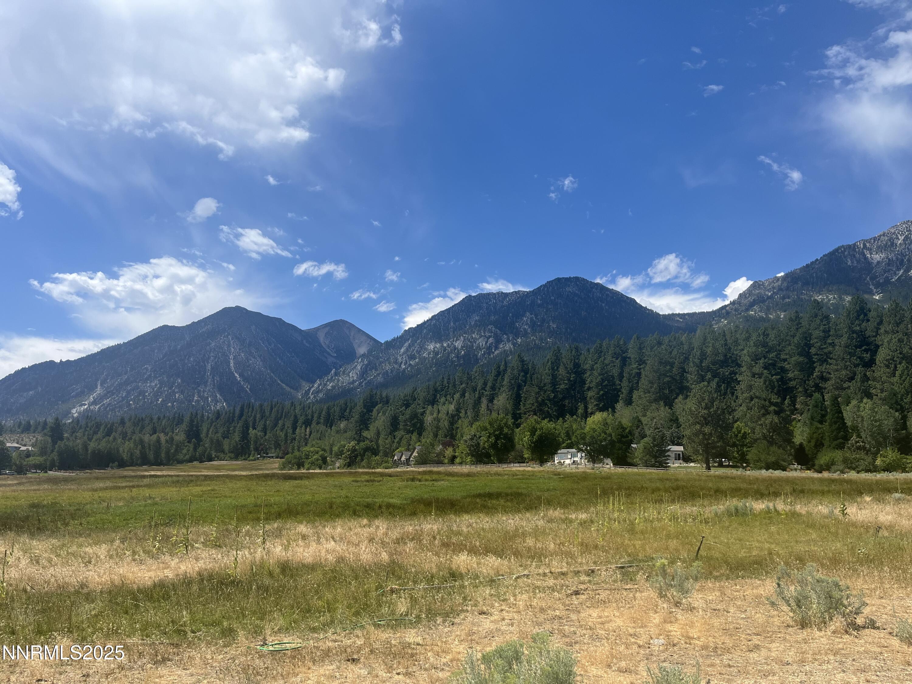 Image 4: IMG_5865