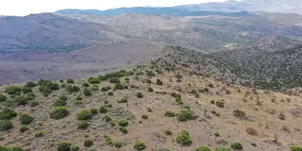 Image 3: Photo 3