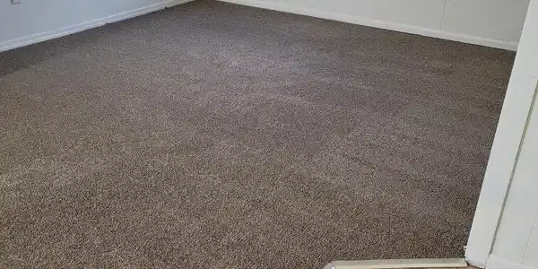 Image 3: -3977775388661355246