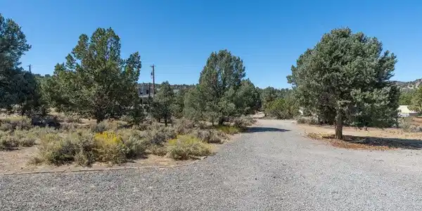 Image 4: driveway