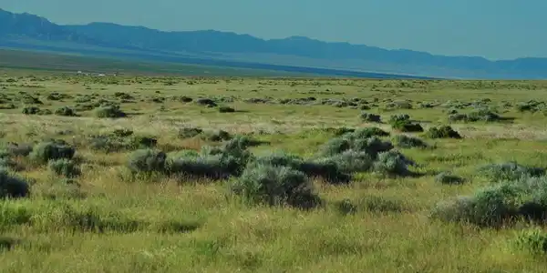 Image 4: Photo 4