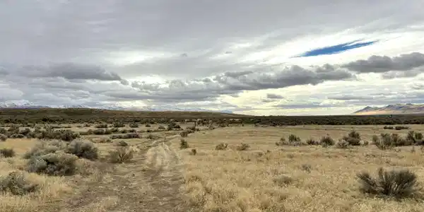 03074119 McDermitt