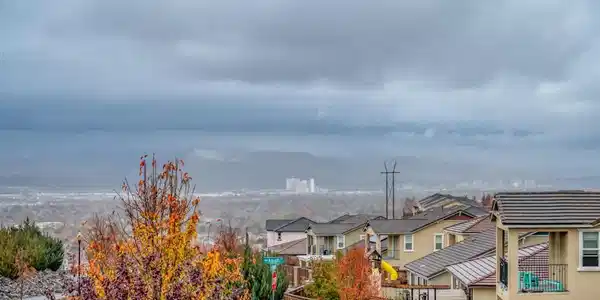 2634 Michelangelo Court