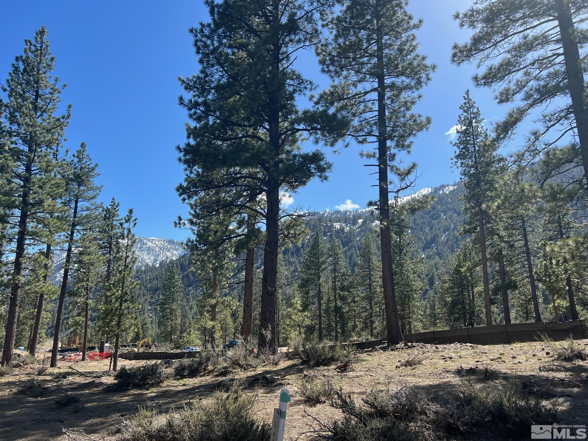 Image 2: Photo 2