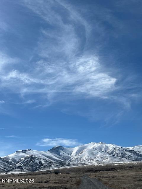 Image 2: IMG_1231
