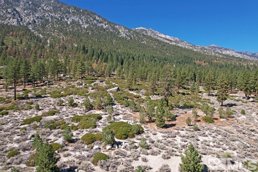 Image 3: Photo 3