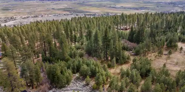 Image 4: Photo 4