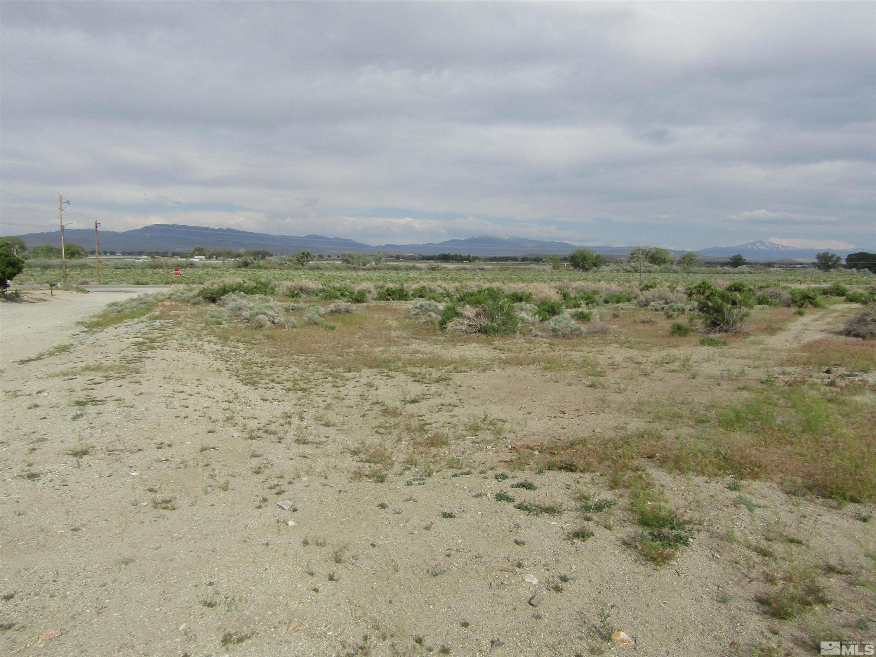 Image 4: Photo 4
