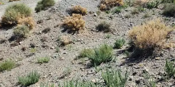 Image 3: Photo 3