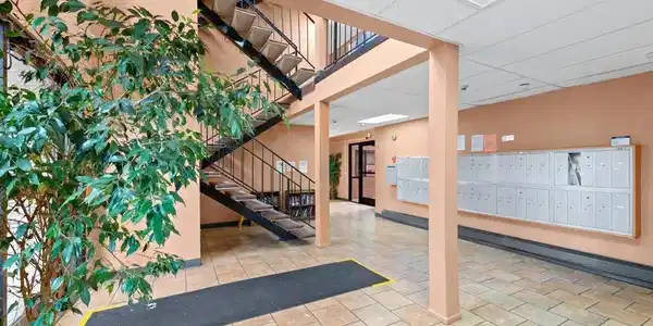 Image 3: Photo 3