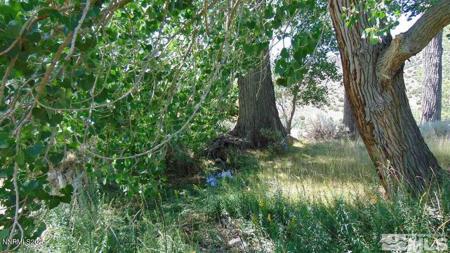 00429110 Sutro Springs Rd.