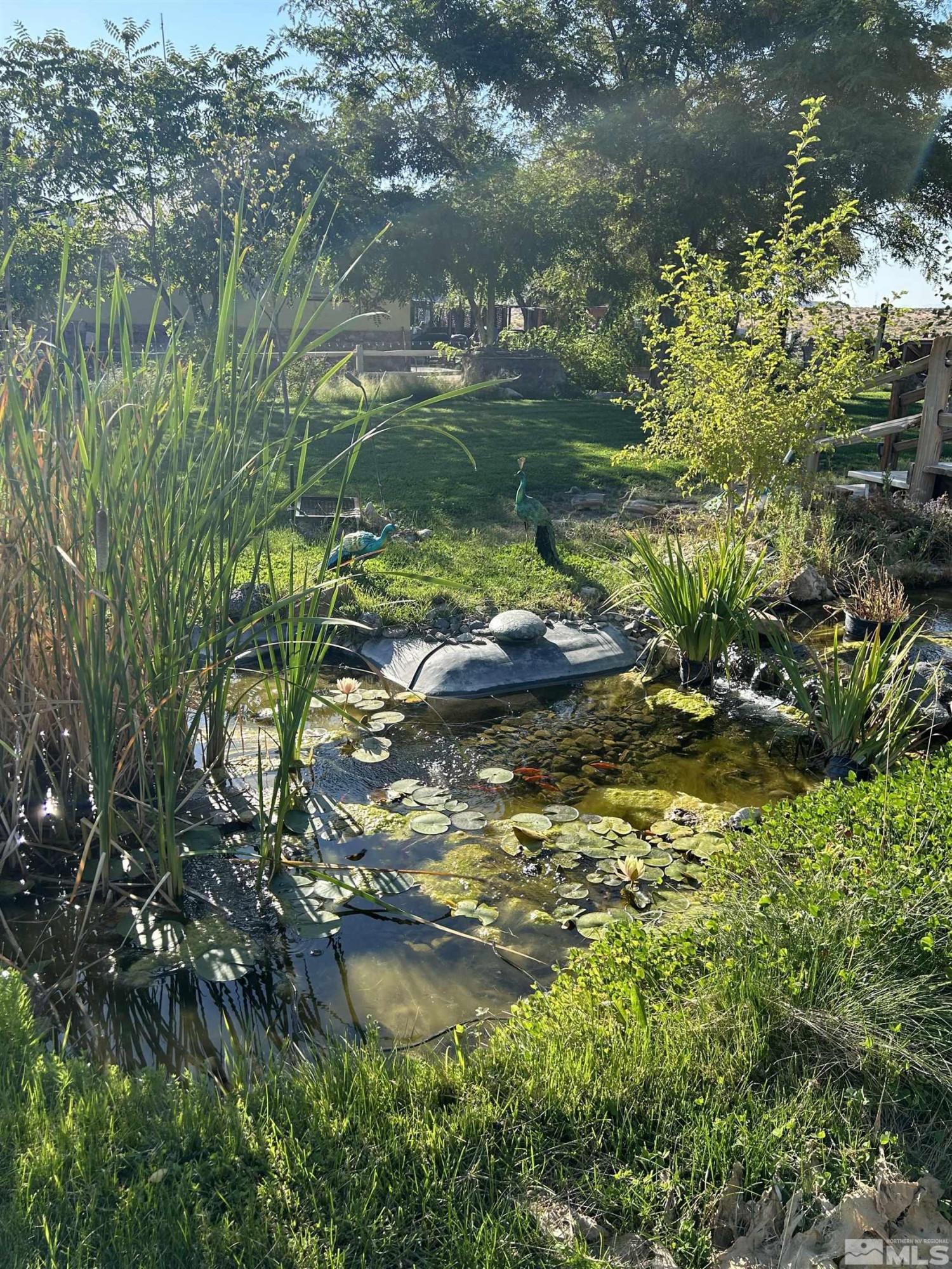 Image 3: Photo 3