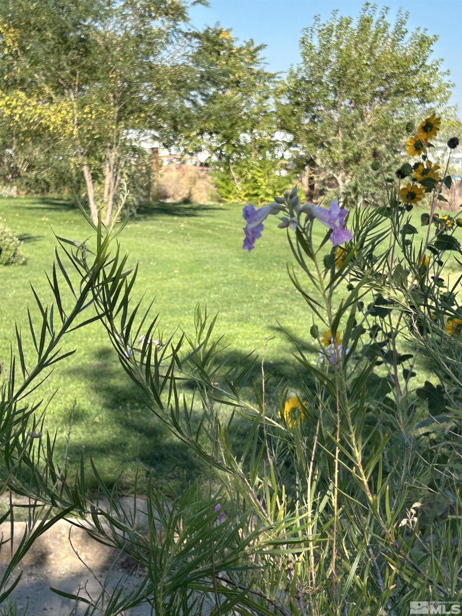 Image 4: Photo 4