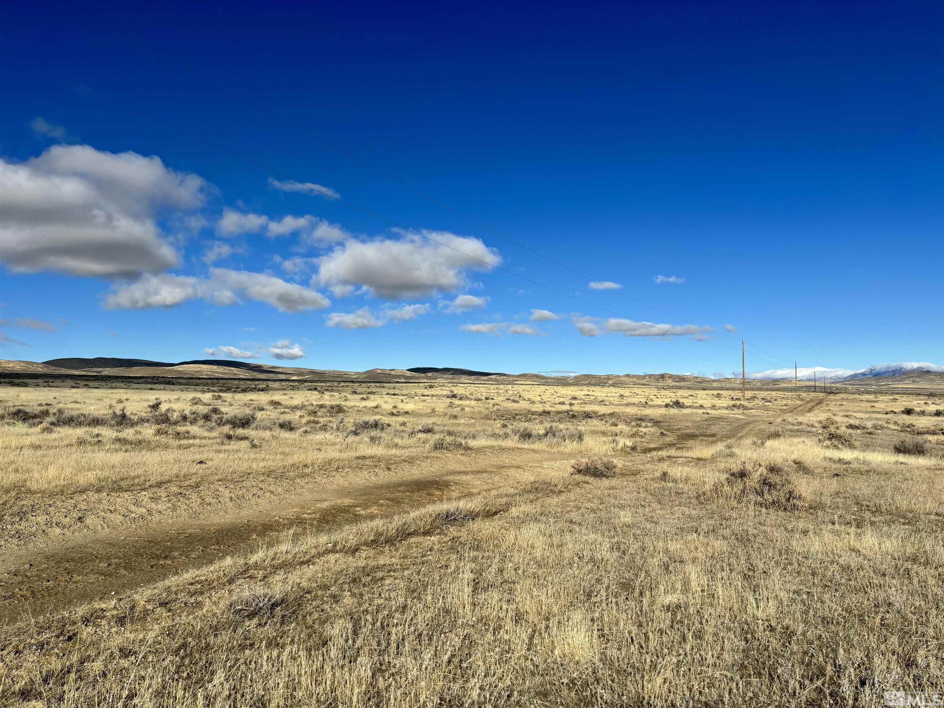 Image 4: Photo 4