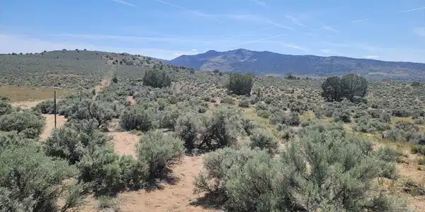 3615 Wild Horse Road