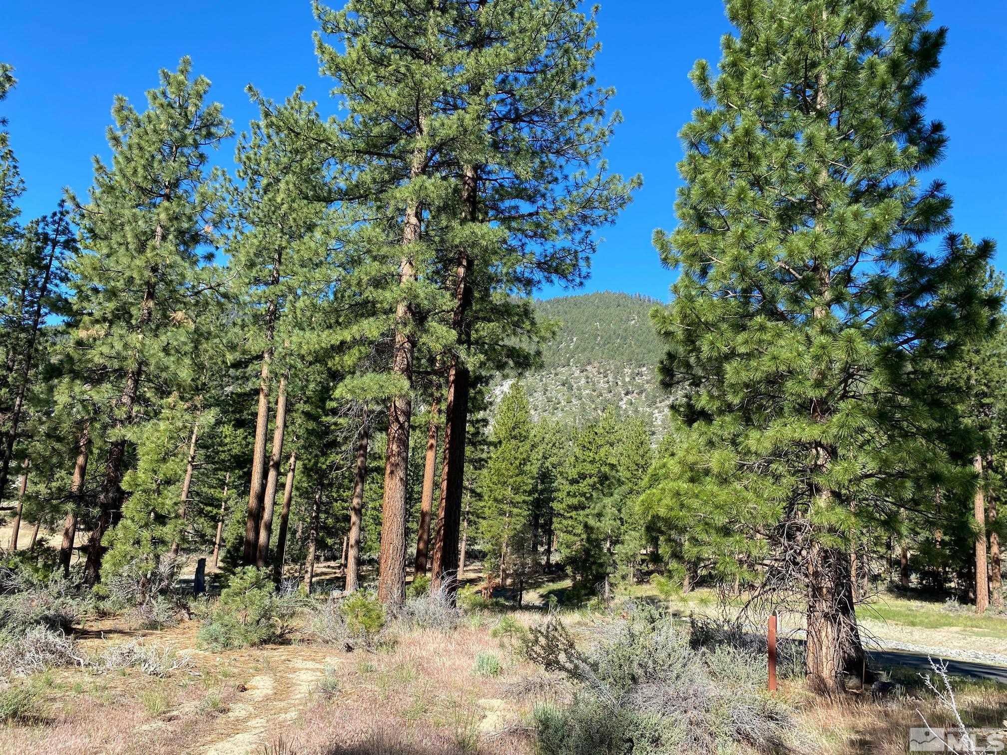 Image 3: Western View