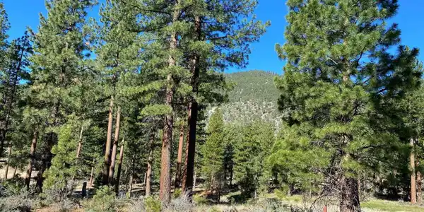 Image 3: Western View