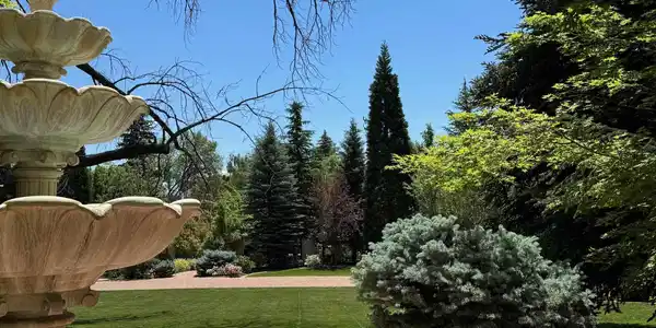 Image 3: Photo 6