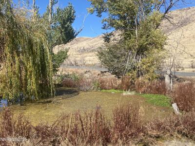 1155 S Us Highway 395