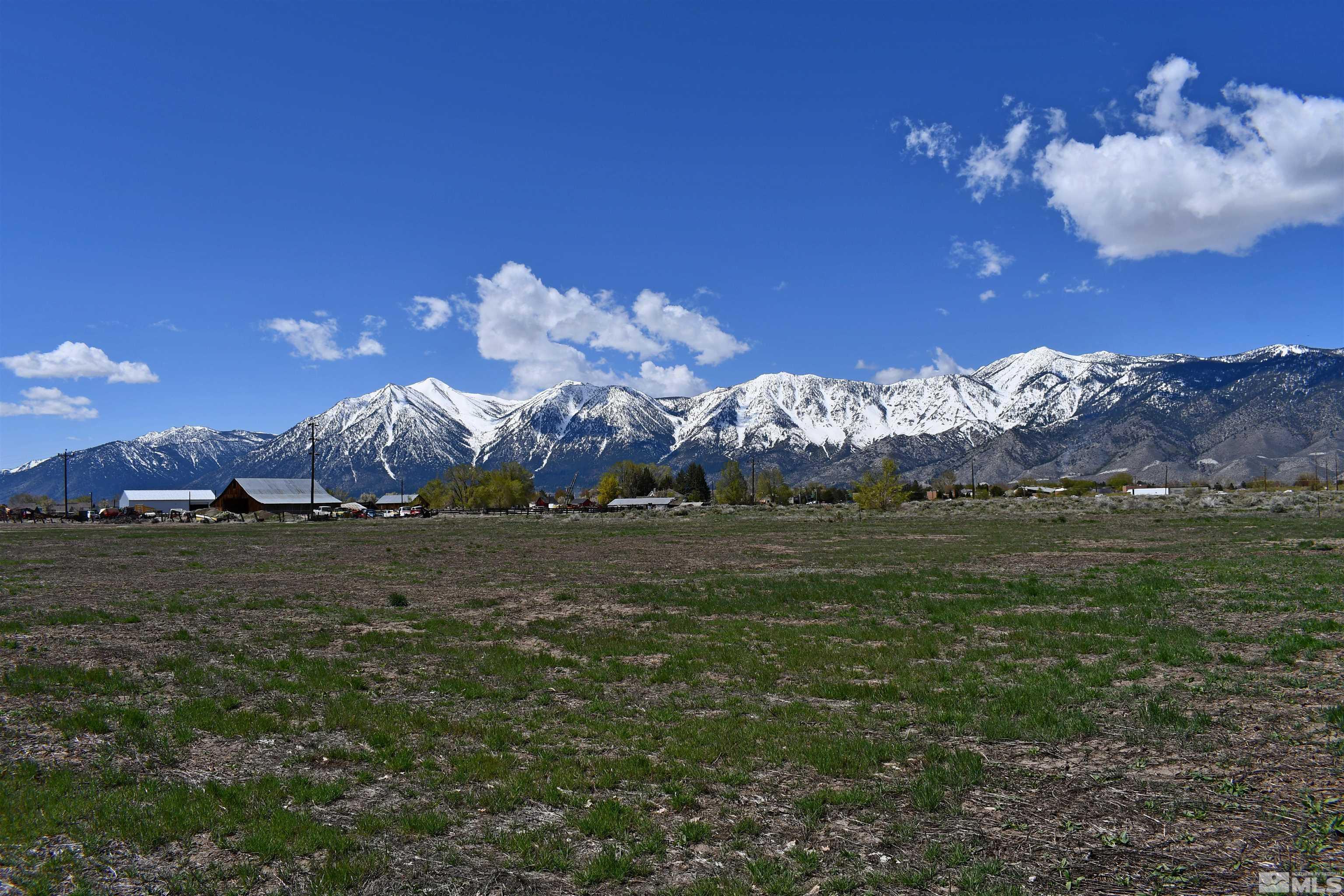Image 3: Photo 3