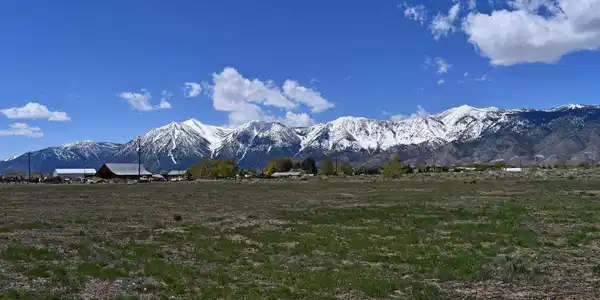 Image 3: Photo 3