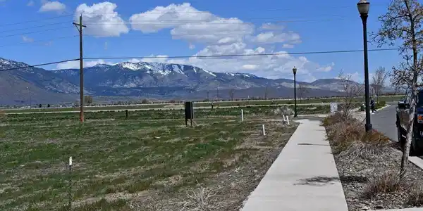 Image 4: Photo 4