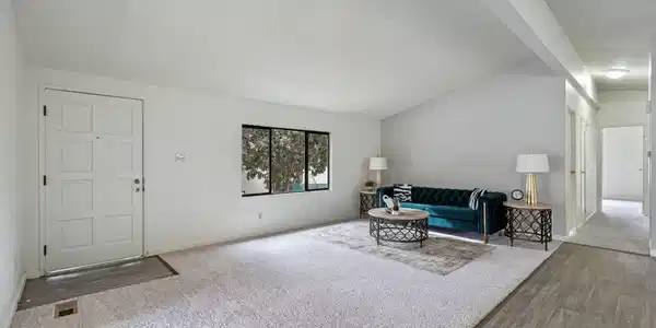 52 Ave De La Bleu De Clair