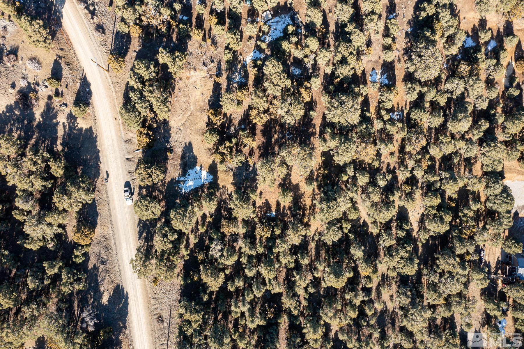 Image 2: Photo 2