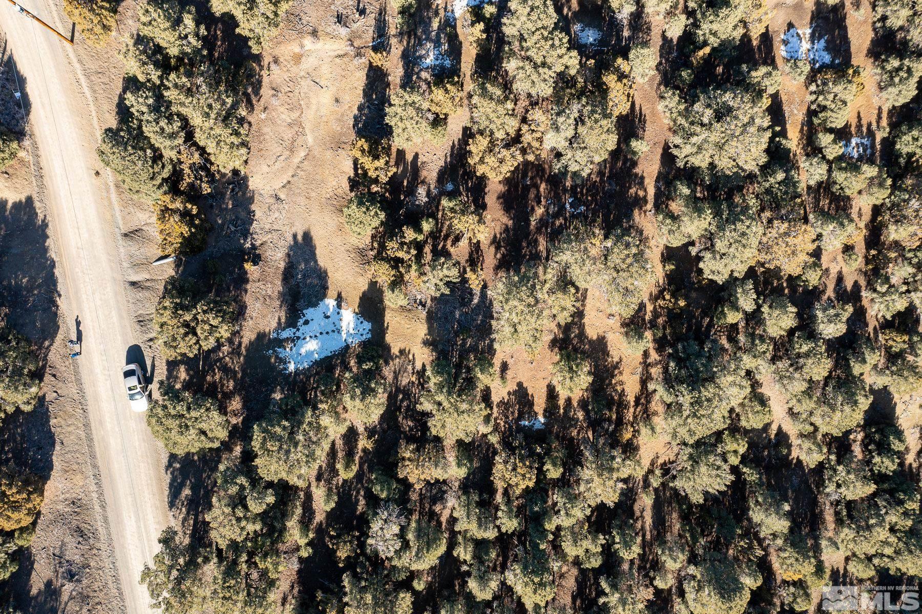 Image 3: Photo 3
