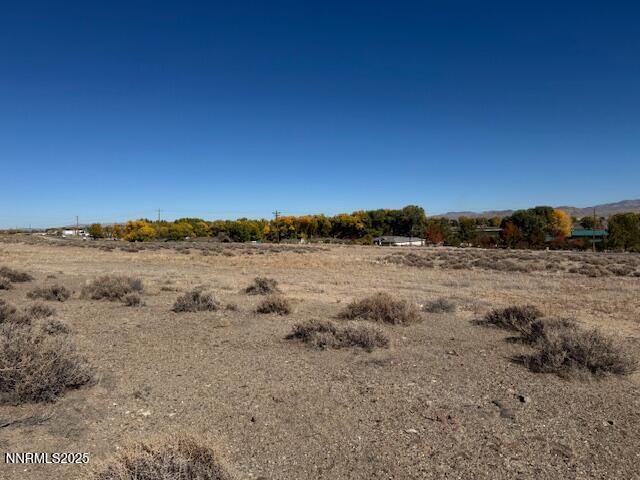 Image 3: IMG_2583