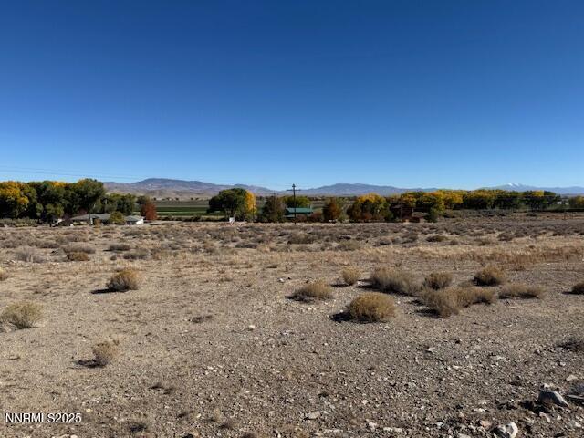 Image 4: IMG_2586