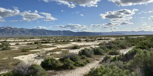 201 Fish Springs Road