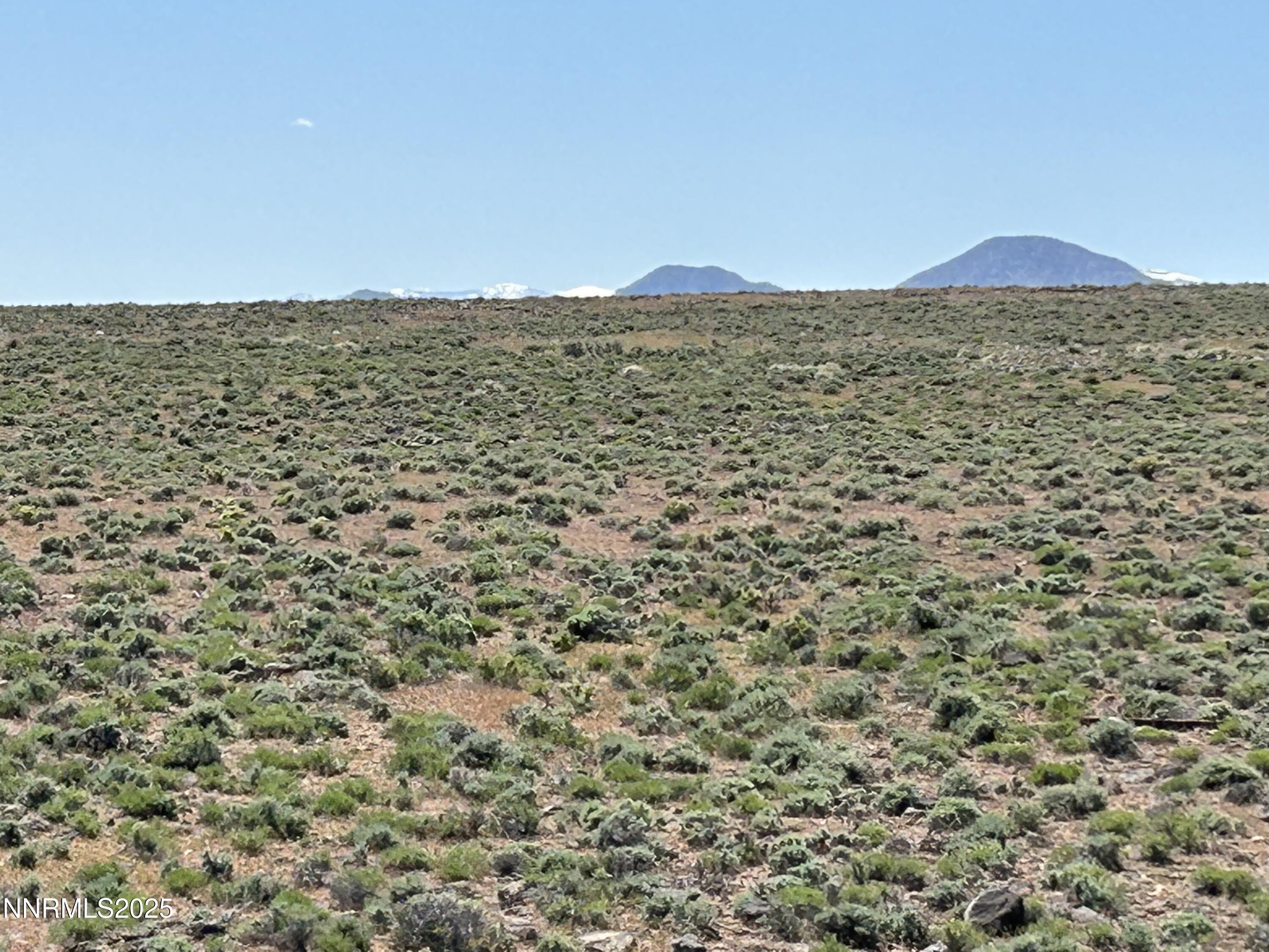 Image 4: TopHill W Flat