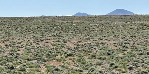 Image 4: TopHill W Flat