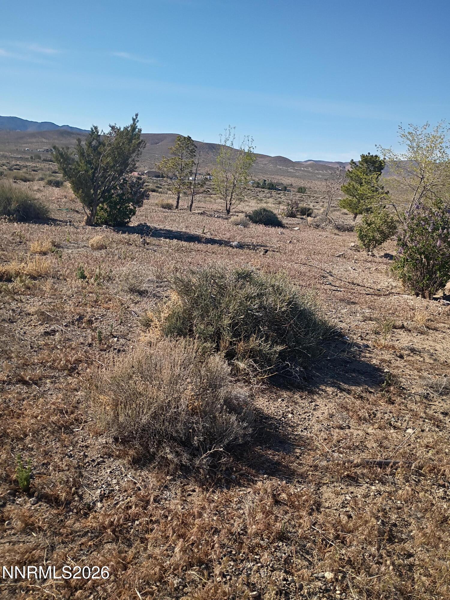 Image 2: looking due west shirley