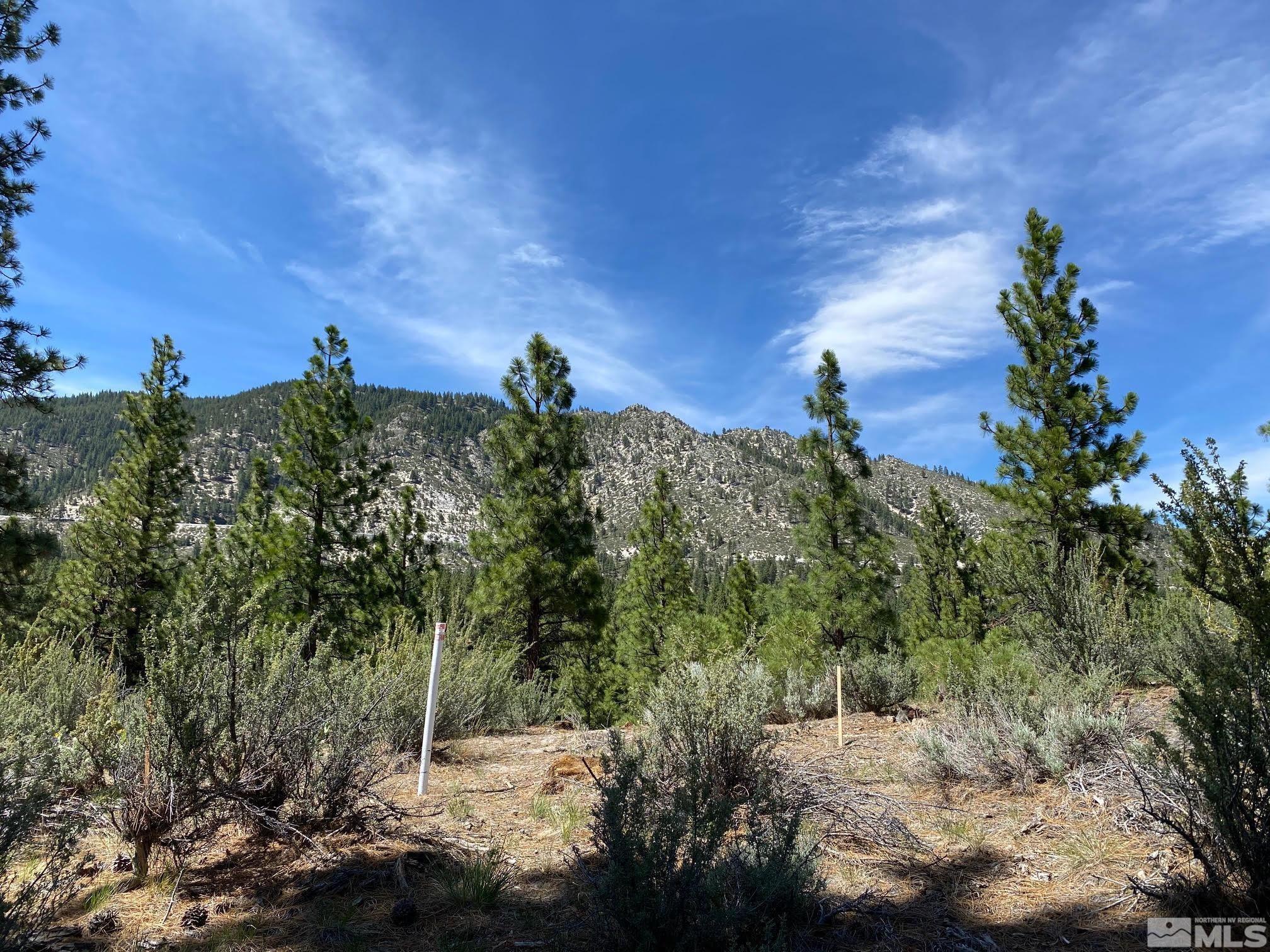 Image 3: Photo 1