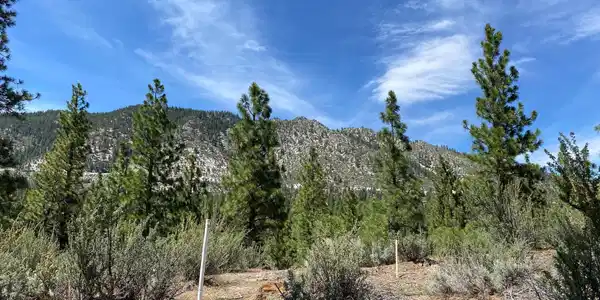 Image 3: Photo 1