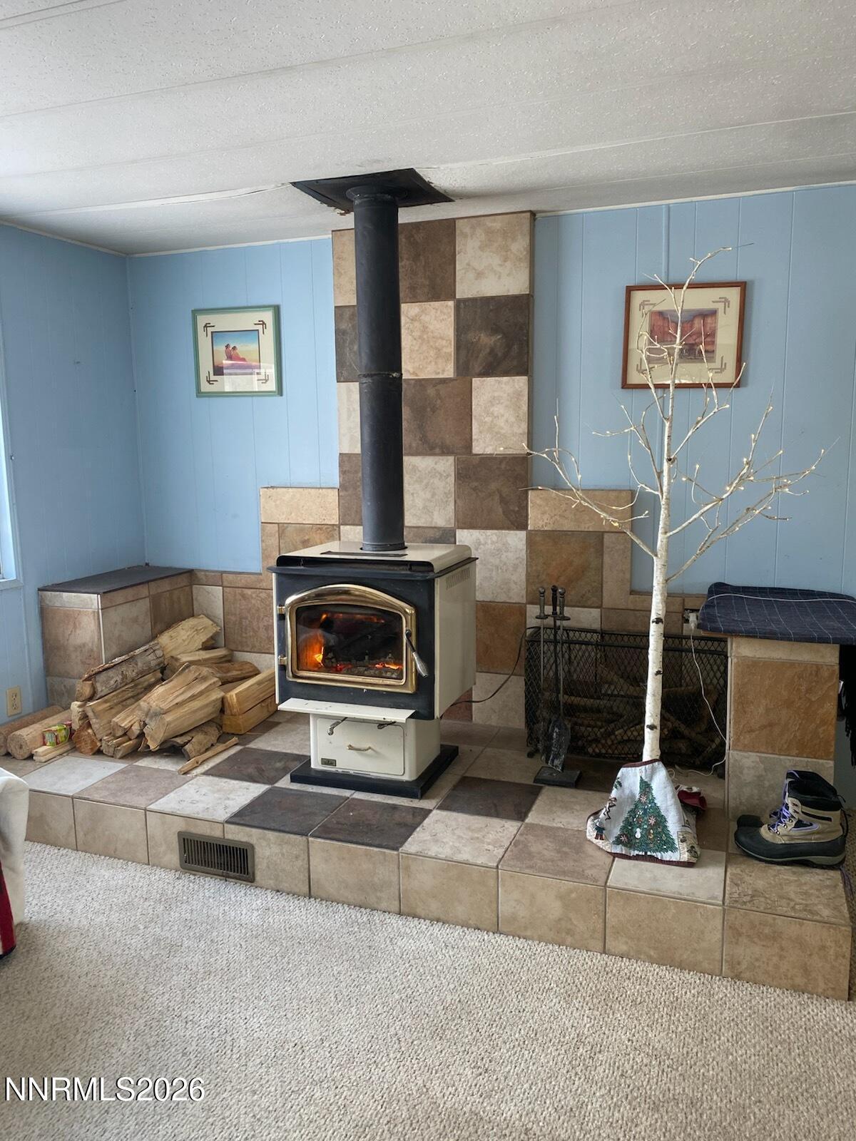 Image 2: LR Wood Stove