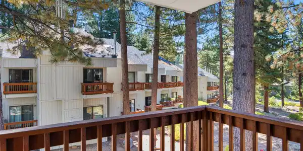 807 Alder