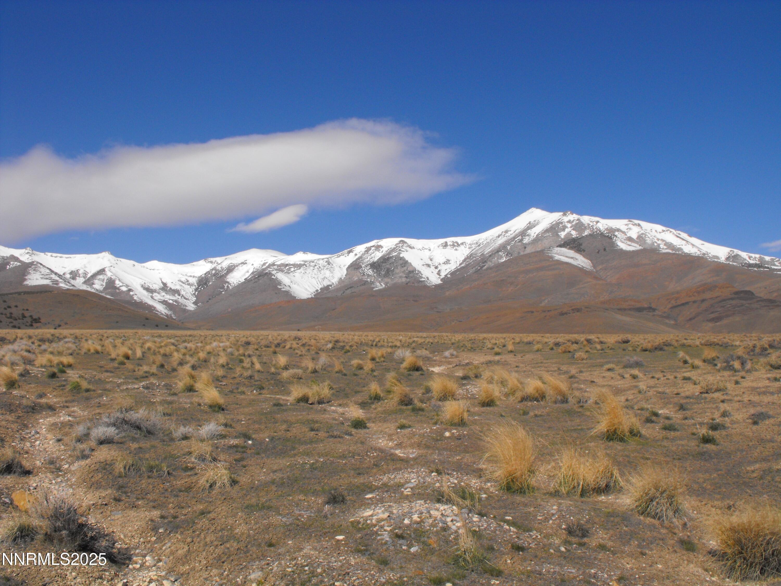Image 1: 1