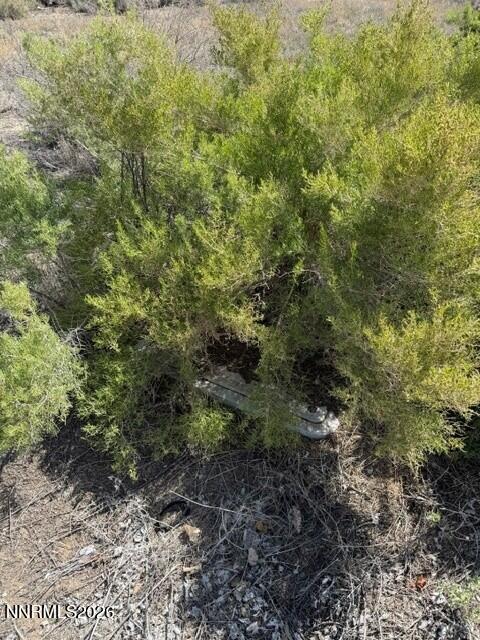 Image 3: 1 Pine Valley