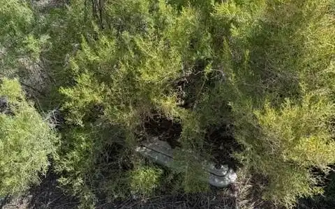 Image 3: 1 Pine Valley