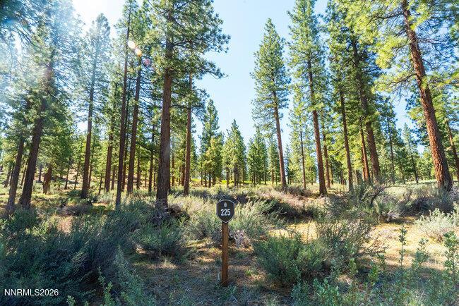 Image 3: 003_225_clear_creek-3_579