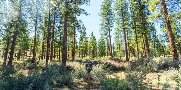 Image 3: 003_225_clear_creek-3_579