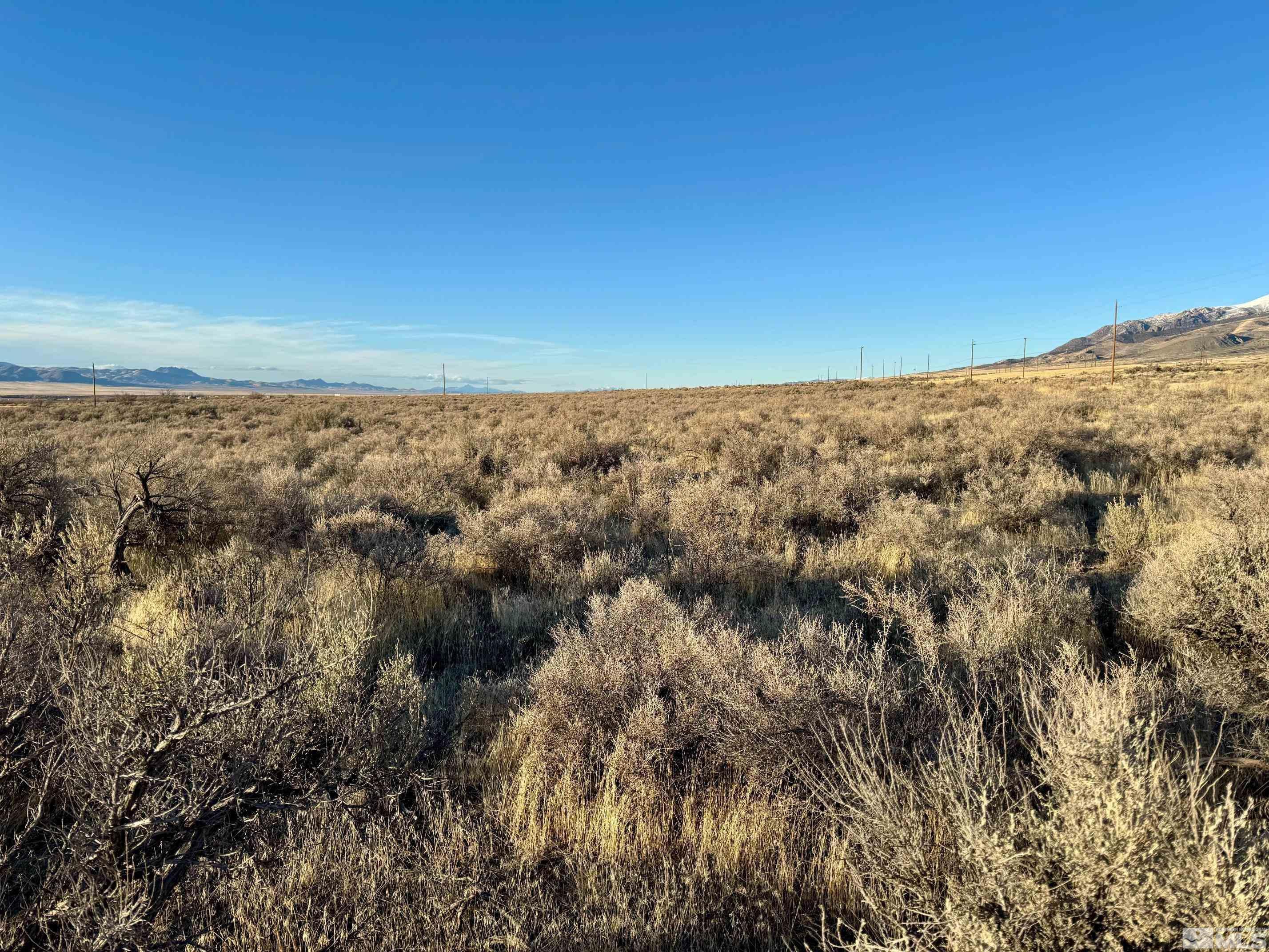 Image 3: Photo 3