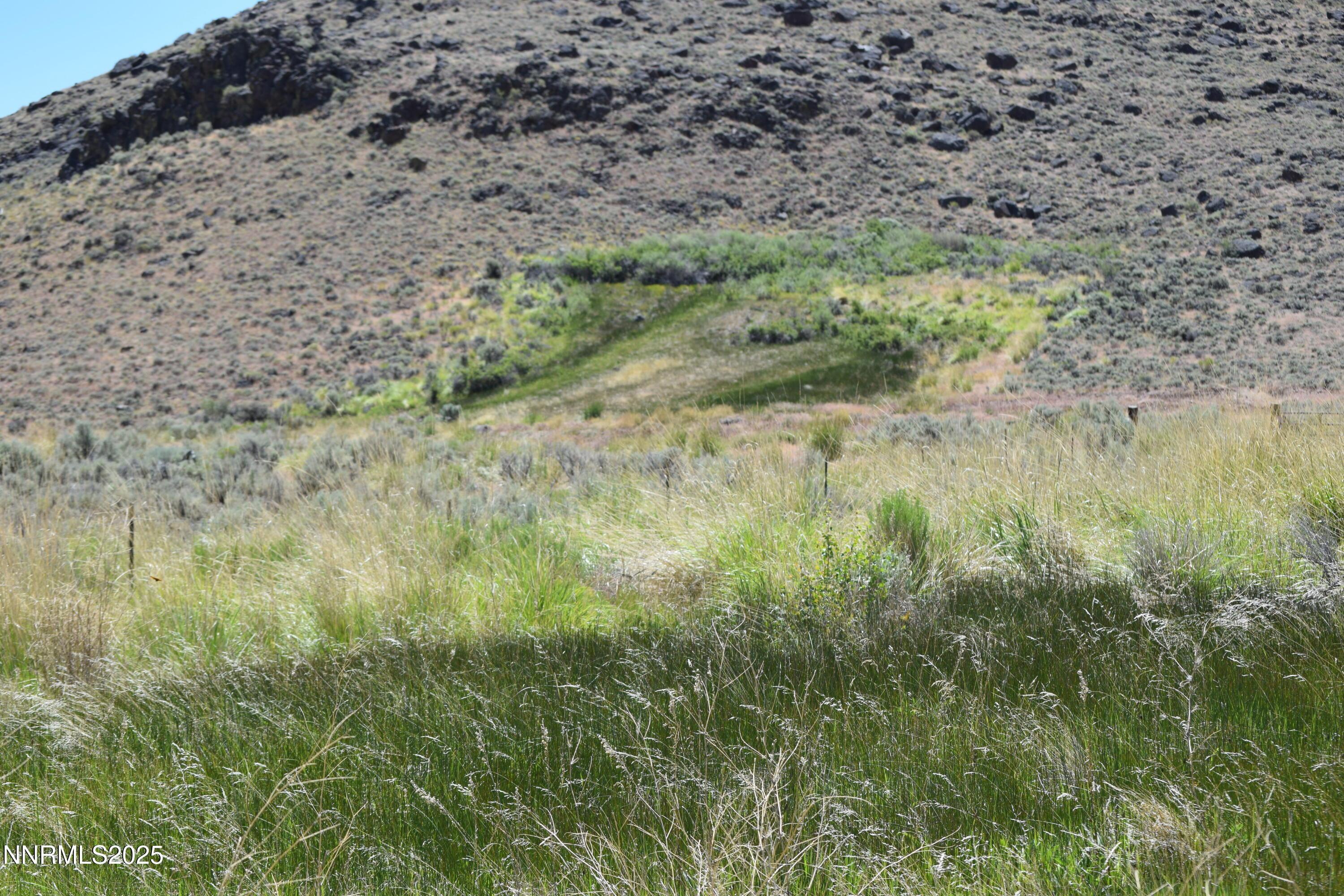 Image 4: 2024-06-18 11.05.26