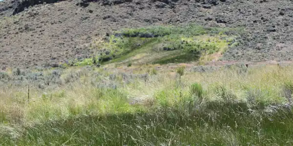 Image 4: 2024-06-18 11.05.26